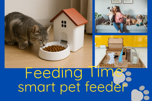 automatic pet feeder