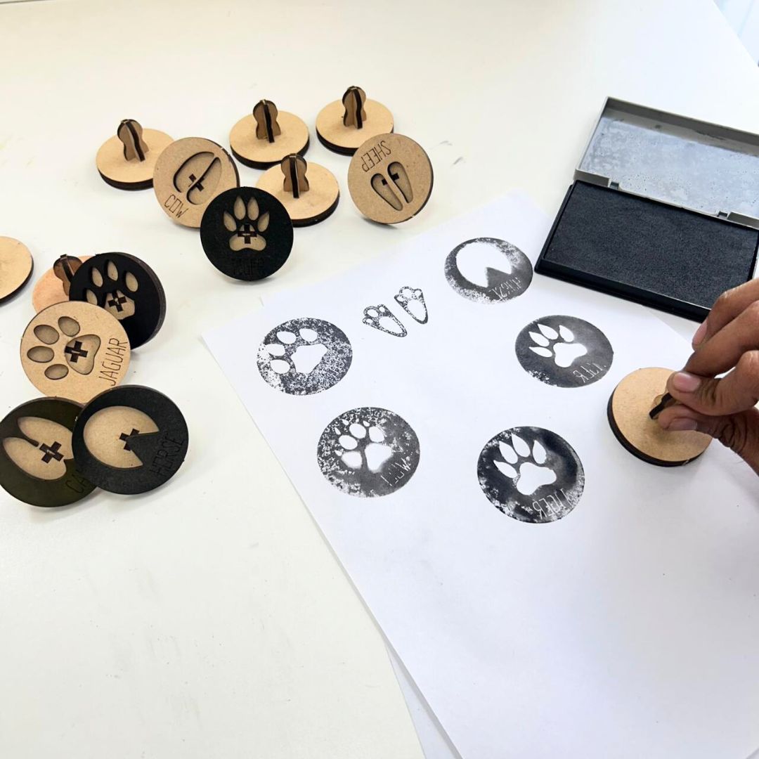 Animal Footprints Stamps With Ink Box, Educational Stamps | Ansoz