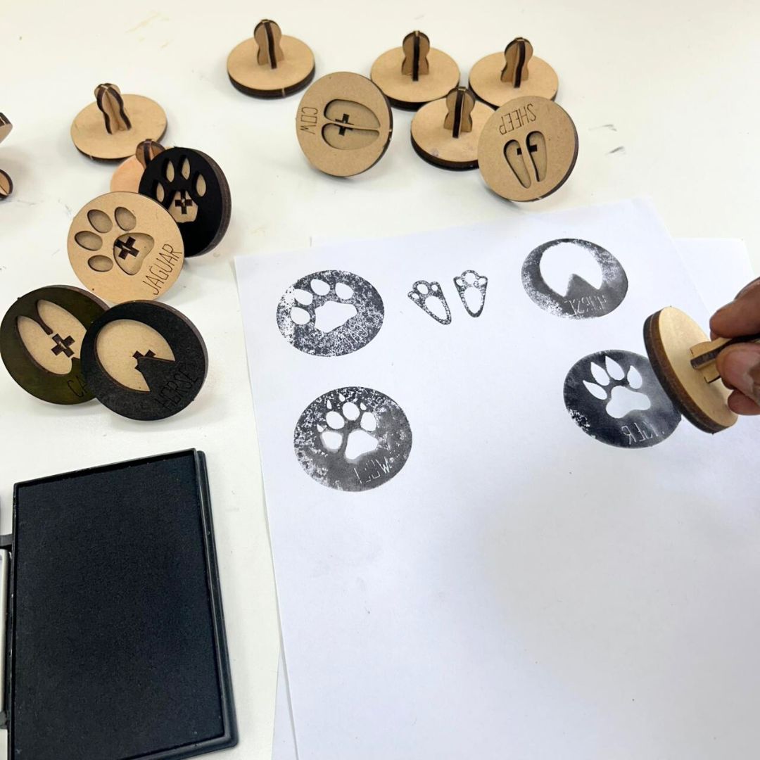 Animal Footprints Stamps With Ink Box, Educational Stamps | Ansoz