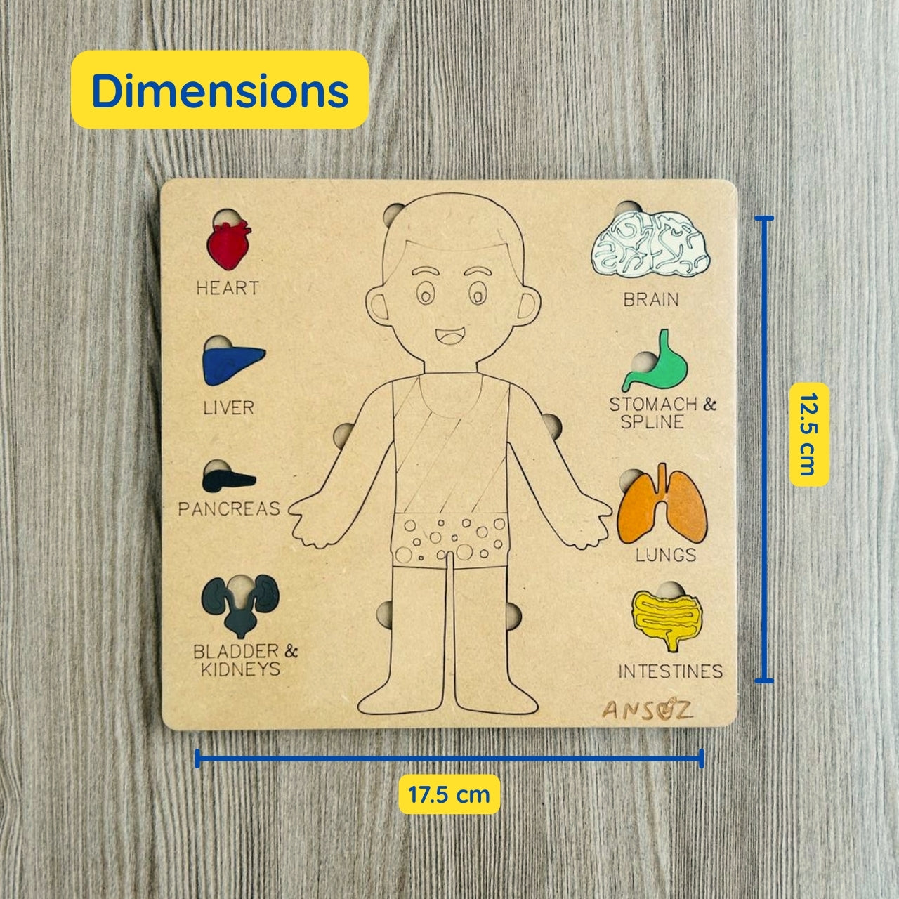 BodyLab Explorer kit | Little explorers meet body science