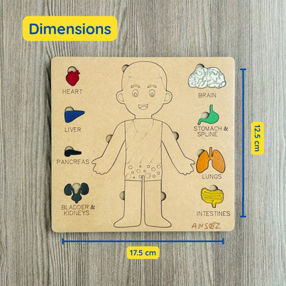 BodyLab Explorer kit | Little explorers meet body science